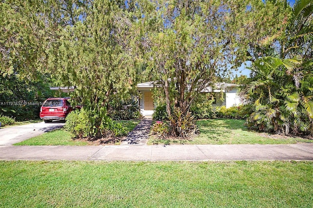 view of property hidden behind natural elements with a front yard and concrete driveway