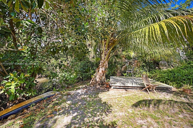 view of yard featuring a deck