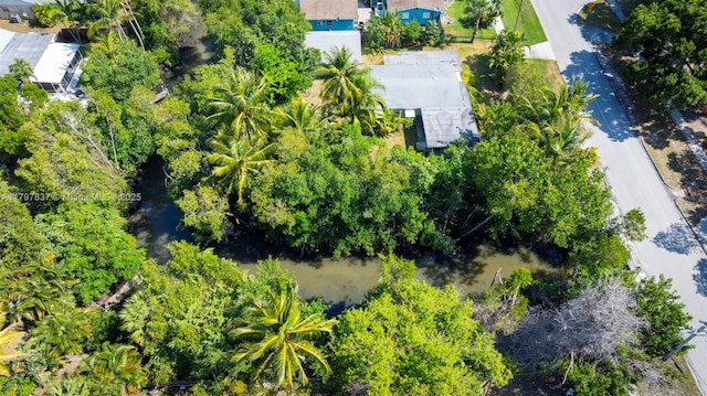 drone / aerial view of a tree filled landscape