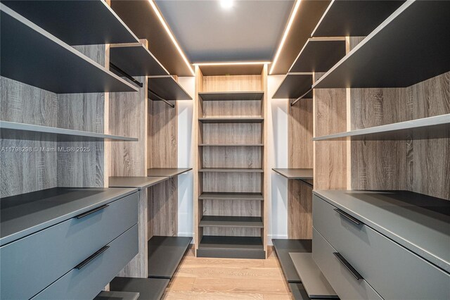 204 Sunrise Dr Unit 204D, Key Biscayne, FL 33149 - walk in closet featuring light wood-style floors