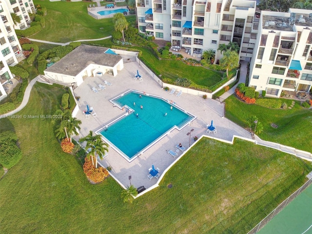 aerial view of a pool