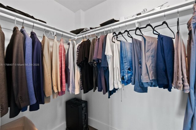 view of spacious closet
