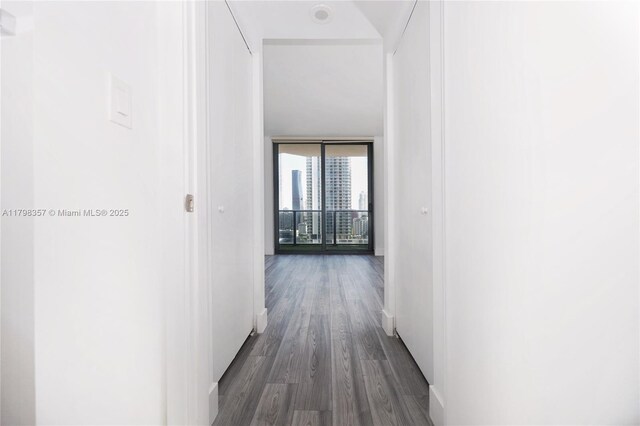 45 SW 9th St Unit 1504, Miami, FL 33130 - photo 20