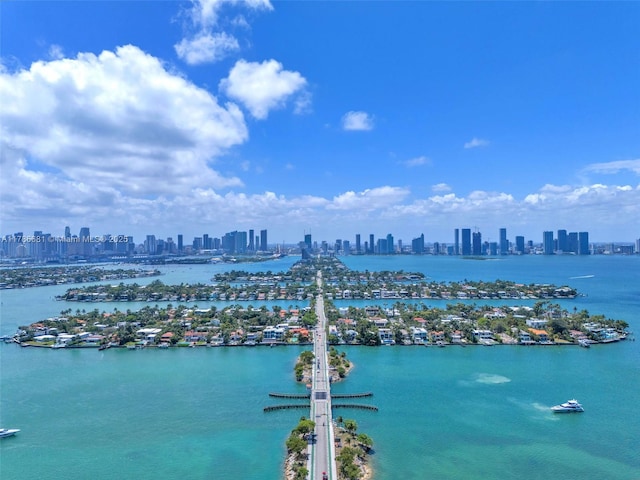 11 Island Ave Unit 512, Miami Beach, FL 33139 - water view featuring a view of skyline