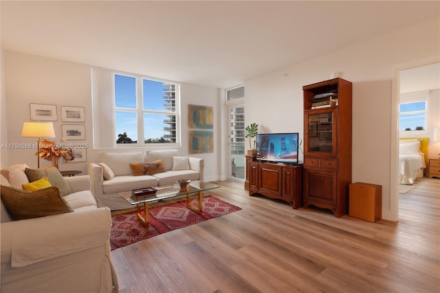 living room featuring light wood-style flooring and healthy amount of natural light