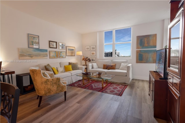 living room featuring wood finished floors, plenty of natural light, and baseboards