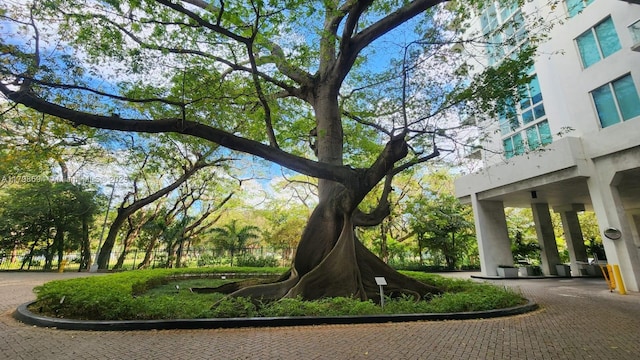 view of home's community