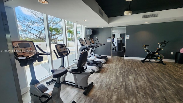 gym with wood finished floors, floor to ceiling windows, and baseboards