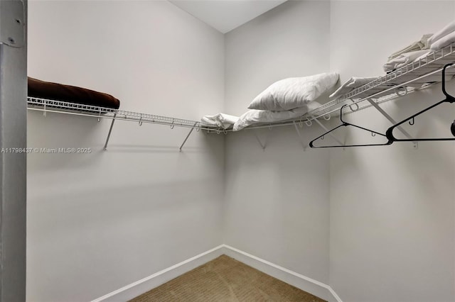 spacious closet featuring light colored carpet