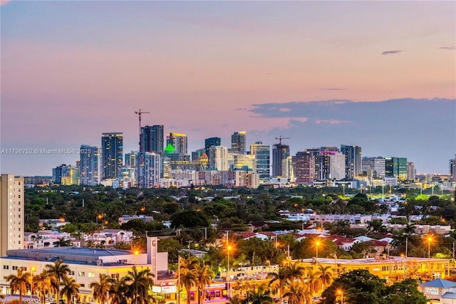 1180 N Federal Hwy Unit 1407, Fort Lauderdale, FL 33304 - city view