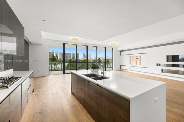 kitchen featuring open floor plan, a sink, modern cabinets, a wall of windows, and stainless steel gas cooktop