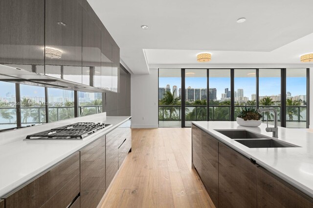 kitchen featuring a sink, modern cabinets, light wood-style flooring, a view of skyline, and light countertops