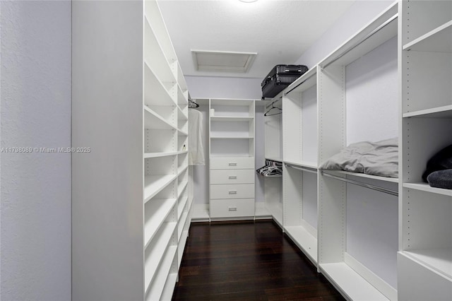 spacious closet featuring dark wood-style floors and attic access
