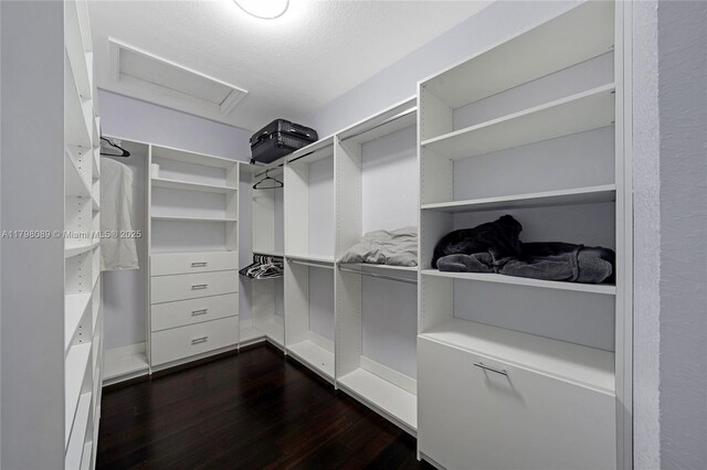 spacious closet featuring dark wood-style floors and attic access