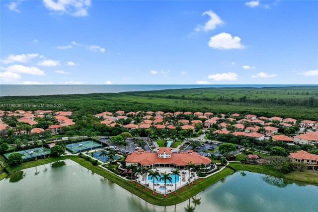 bird's eye view of a large body of water