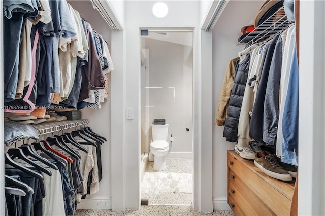 view of walk in closet