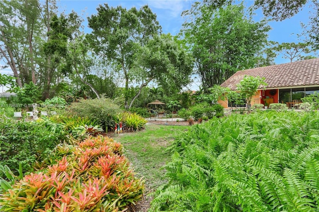 95 E Westwood Cir E, West Palm Beach, FL 33411 - view of yard