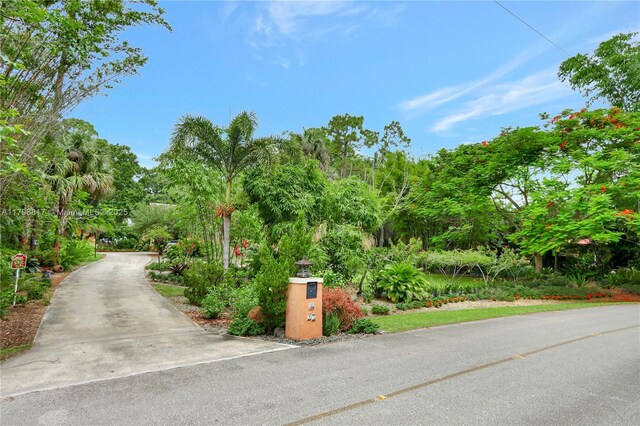 95 E Westwood Cir E, West Palm Beach, FL 33411 - view of street with view of wooded area