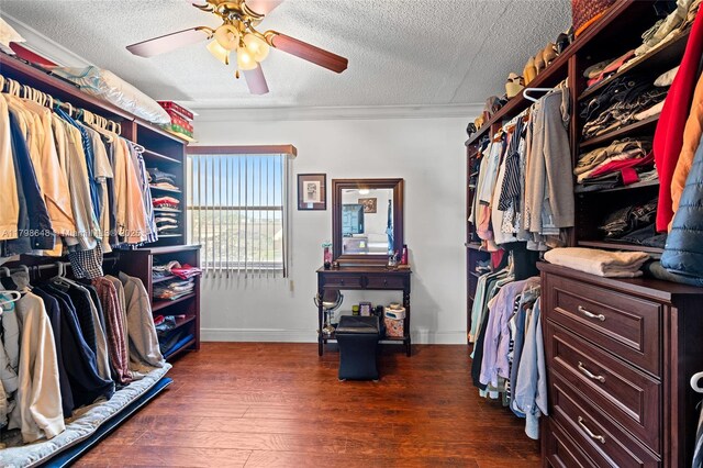 3865 NW 1st Pl, Deerfield Beach, FL 33442 - spacious closet featuring ceiling fan and wood finished floors