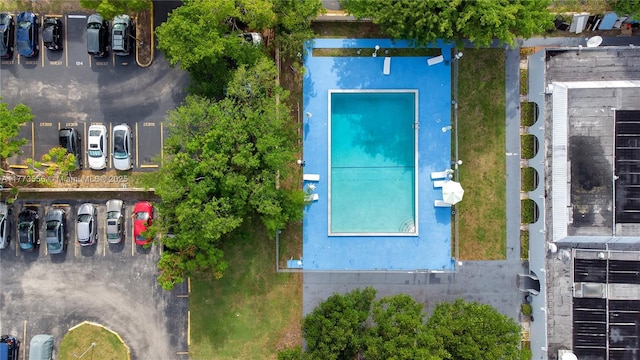 drone / aerial view
