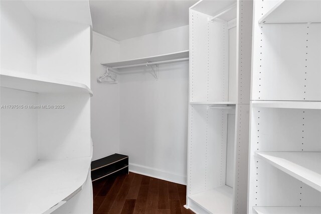 spacious closet featuring wood finished floors