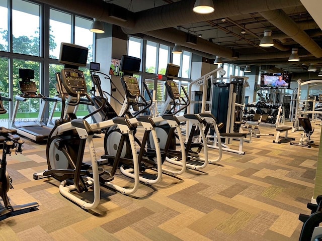 16385 Biscayne Blvd Unit 1806, North Miami Beach, FL 33160 - gym featuring carpet floors