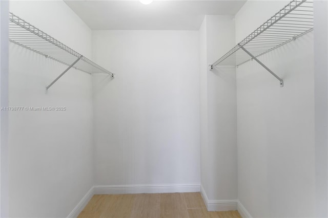 walk in closet with light wood-type flooring