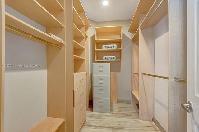 12672 Tucano Cir, Boca Raton, FL 33428 - walk in closet with light wood finished floors