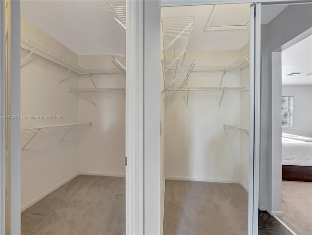 12672 Tucano Cir, Boca Raton, FL 33428 - spacious closet with carpet flooring