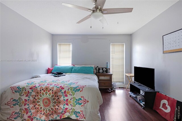 4848 NW 24th Ct Unit 215, Lauderdale Lakes, FL 33313 - bedroom with multiple windows, wood finished floors, and a ceiling fan