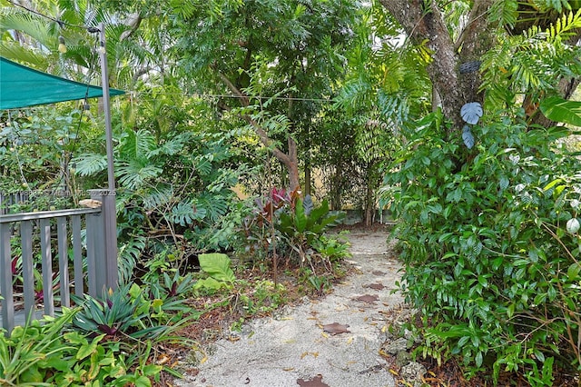 10610 SW 103rd St, Miami, FL 33176 - view of yard