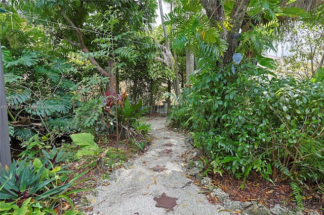 10610 SW 103rd St, Miami, FL 33176 - view of nature