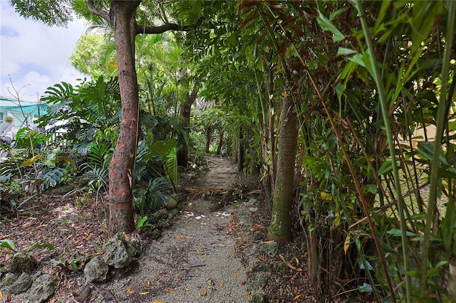 10610 SW 103rd St, Miami, FL 33176 - view of nature