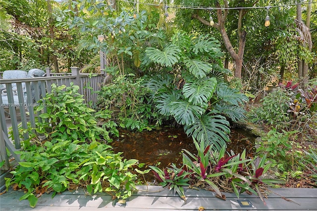 10610 SW 103rd St, Miami, FL 33176 - view of yard