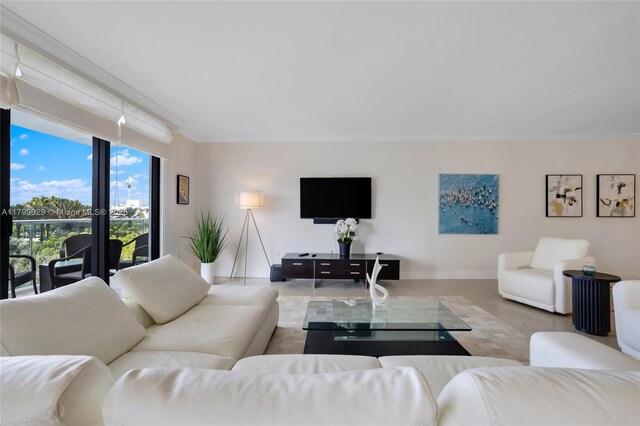 9801 Collins Ave Unit 5S, Bal Harbour, FL 33154 - living room with ornamental molding, baseboards, and tile patterned flooring