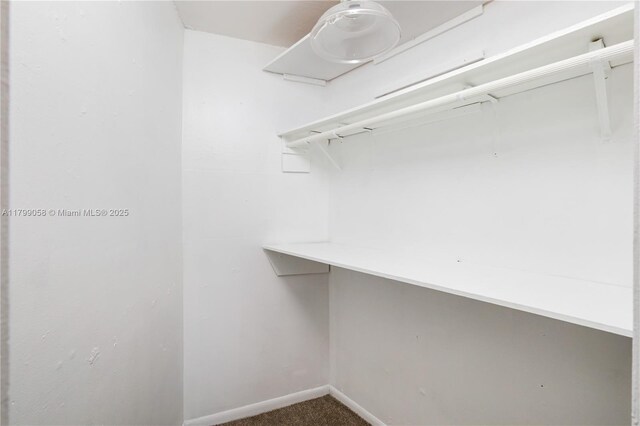 1840 Jefferson Ave Unit 103, Miami Beach, FL 33139 - walk in closet with carpet floors