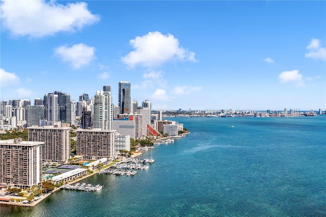 2201 Brickell Ave Unit 77, Miami, FL 33129 - water view with skyline