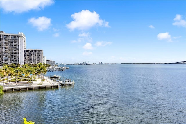 2201 Brickell Ave Unit 77, Miami, FL 33129 - water view with a dock