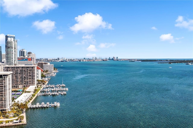 2201 Brickell Ave Unit 77, Miami, FL 33129 - water view with skyline