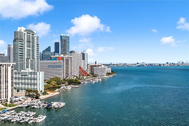 2201 Brickell Ave Unit 77, Miami, FL 33129 - water view featuring skyline and numerous boat docks