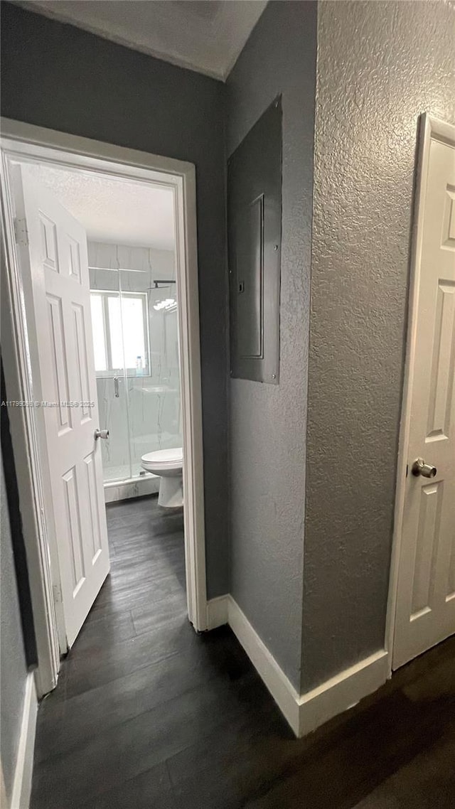 hall featuring a textured wall, electric panel, baseboards, and dark wood-type flooring