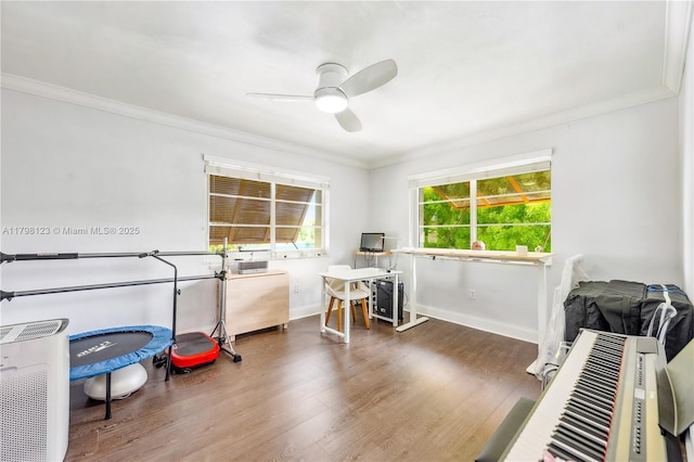 9456 SW 77th Ave Unit T6, Miami, FL 33156 - misc room featuring ornamental molding, a ceiling fan, and wood finished floors
