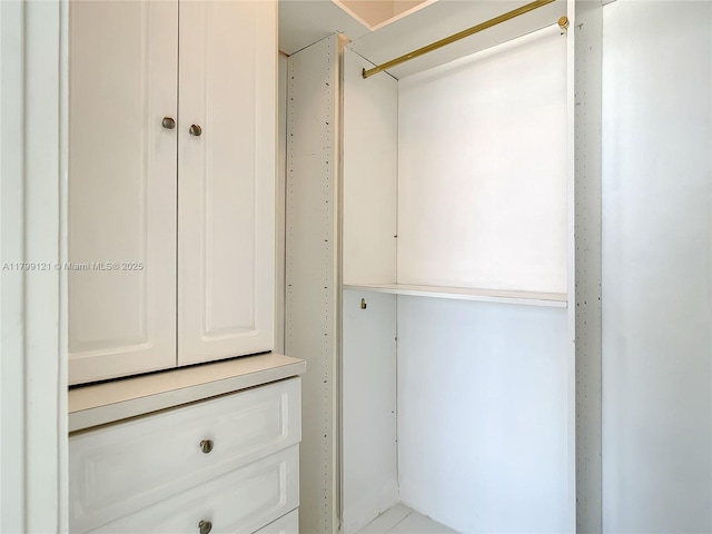 555 NE 15th St Unit 502, Miami, FL 33132 - view of walk in closet