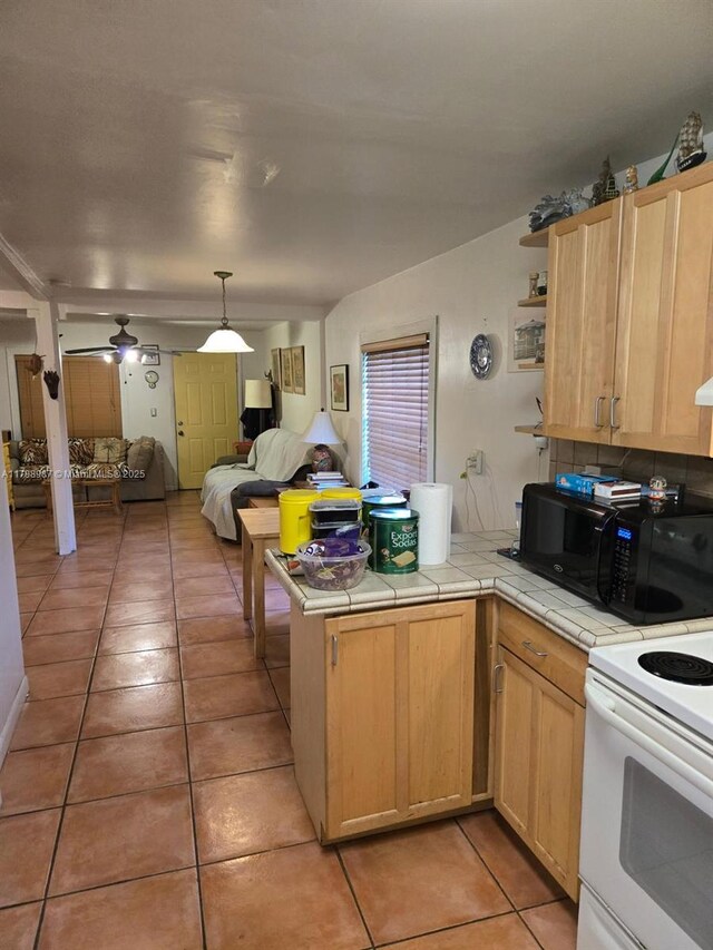 2415 Garfield St, Hollywood, FL 33020 - photo 6