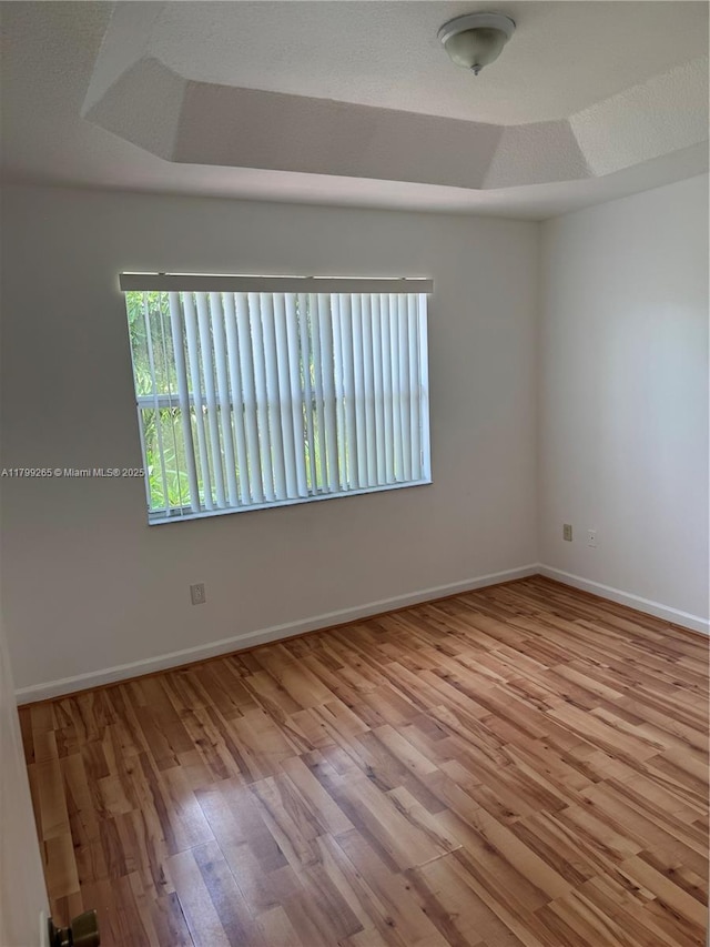 4139 NE 26th St, Homestead, FL 33033 - unfurnished room featuring wood finished floors and a tray ceiling