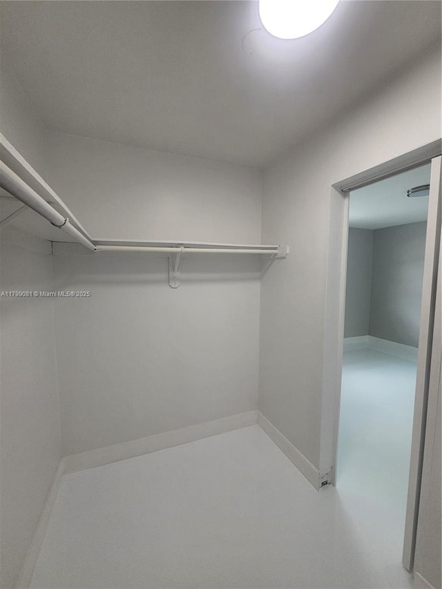 view of spacious closet