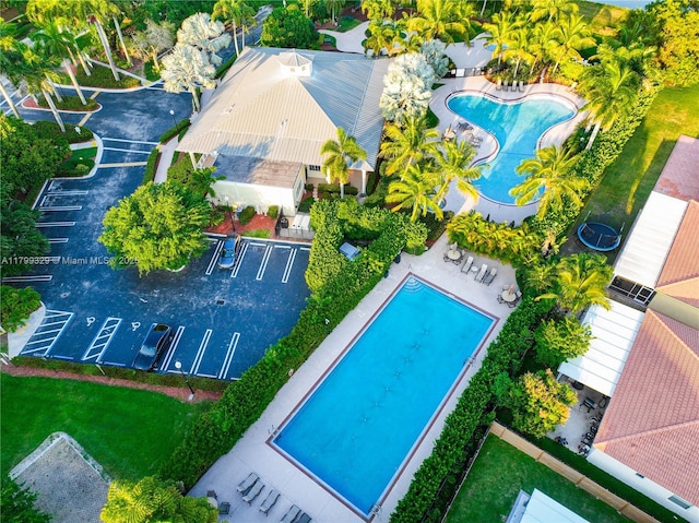 4114 NE 25th Ct, Homestead, FL 33033 - aerial view of a pool area