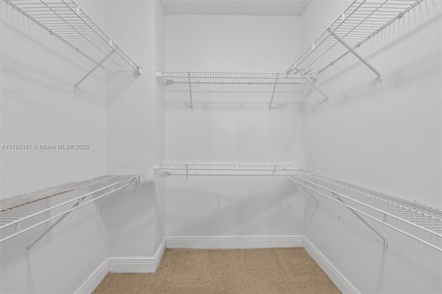 8401 NW 8th St Unit 401, Miami, FL 33126 - walk in closet featuring light carpet