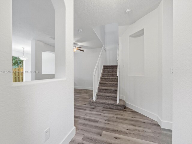 2482 SE 14th Ct, Homestead, FL 33035 - stairs with wood finished floors, baseboards, a ceiling fan, and arched walkways