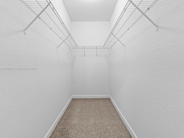 2482 SE 14th Ct, Homestead, FL 33035 - spacious closet with carpet flooring
